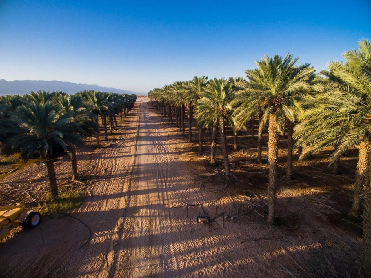 Lotan Desert Travel Lodge